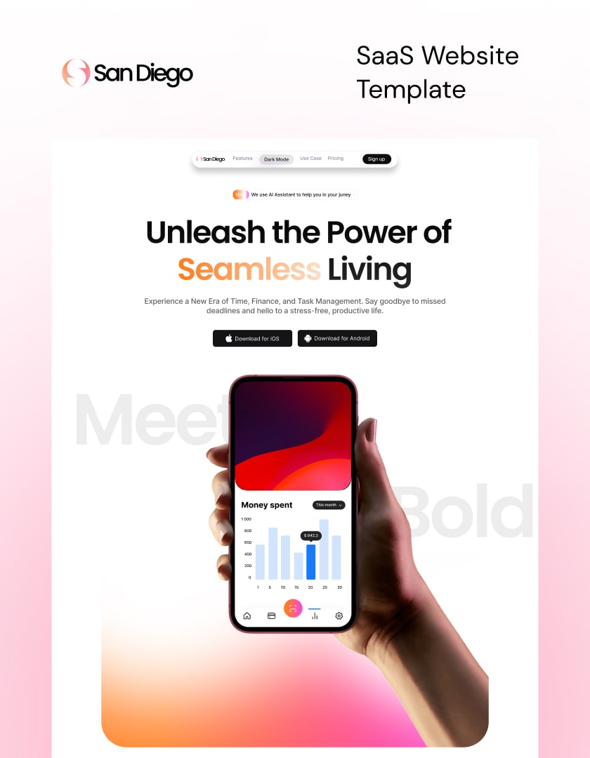 San Diego – Webflow SaaS template, made in Webflow with CMS and Ecommerce