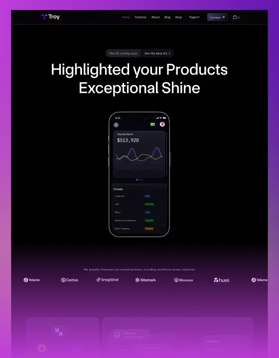 Webflow SaaS template – Troy